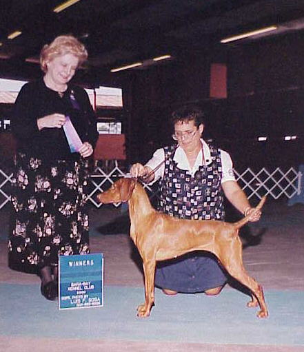 Ziggy finishing championship