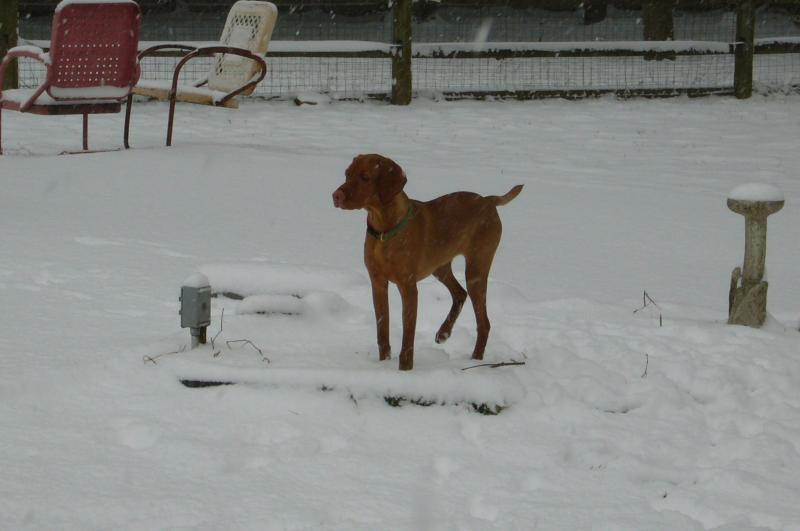 June's First Real Snow